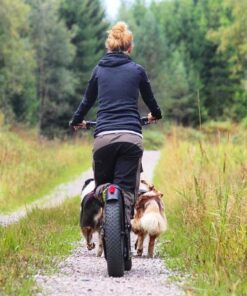 Kickbike FAT MAX - Image 4