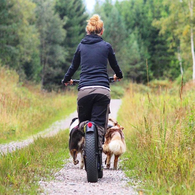 Kickbike FAT MAX - Image 4