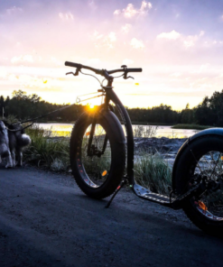 Kickbike FAT MAX - Image 3