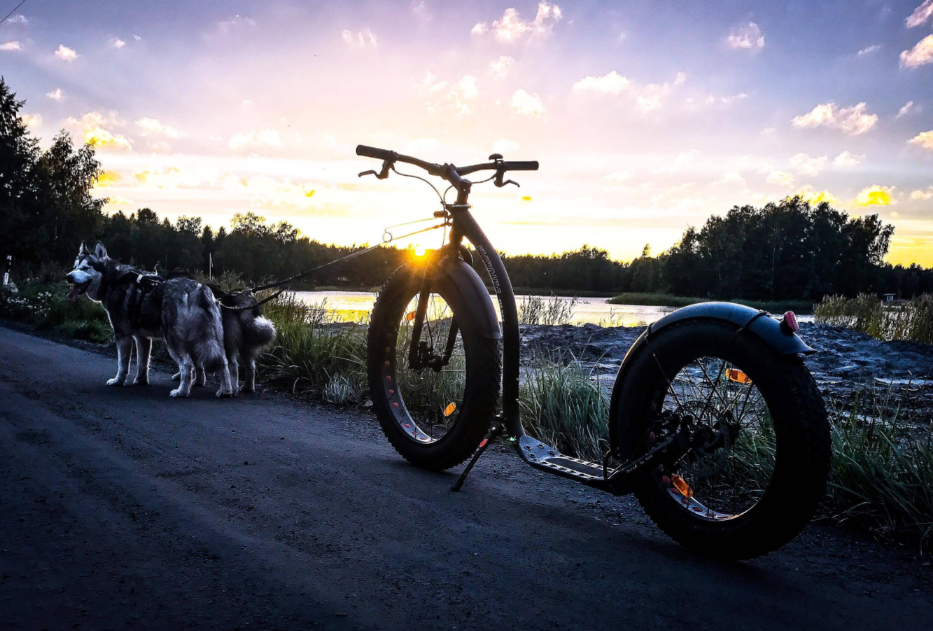 Kickbike FAT MAX - Image 3