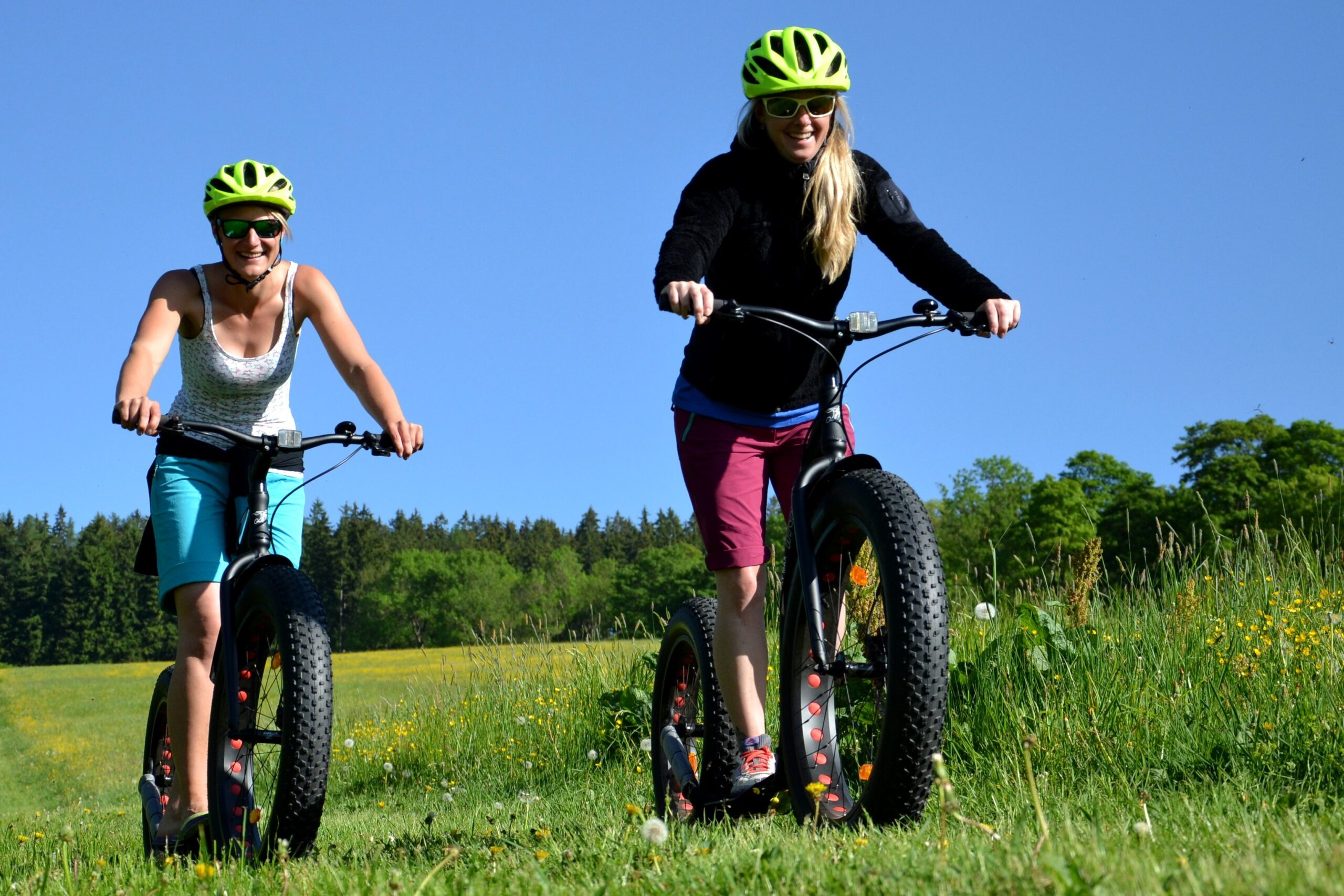 Kickbike FAT MAX - Image 14