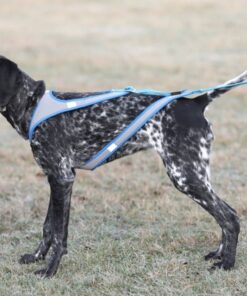 Alternative view of Manmat Lash Harness