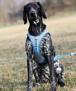 Manmat Lash Harness - Image 3