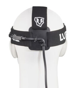 Alternative view of Lupine Wilma RX 7