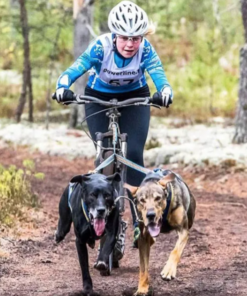Kickbike Cross MAX 20HD - Image 5