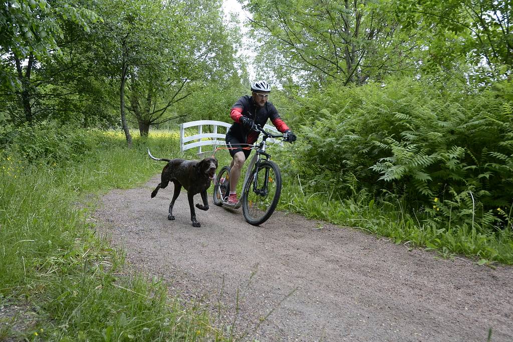 Kickbike Cross MAX 20HD - Image 15