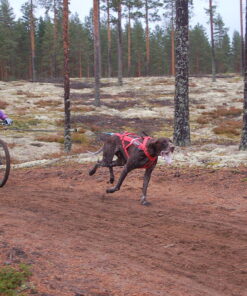 Kickbike Cross MAX 20HD - Image 4