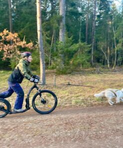 Alternative view of Kickbike Cross MAX 20HD