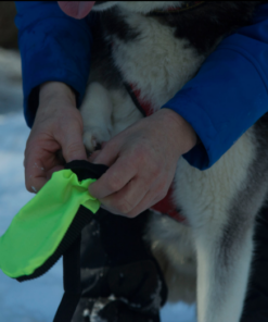 Alternative view of Neewa Dog Boots