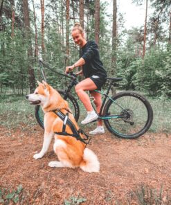 Non-stop Dogwear Cykelantenne - Image 6