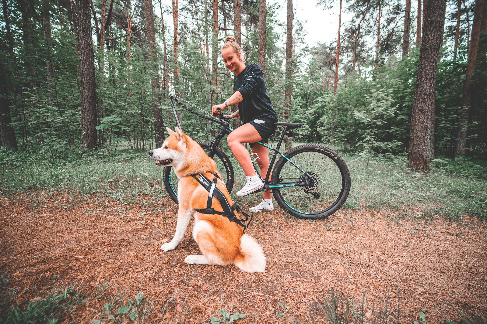 Non-stop Dogwear Cykelantenne - Image 6