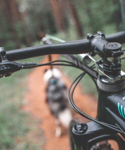 Non-stop Dogwear Cykelantenne - Image 8