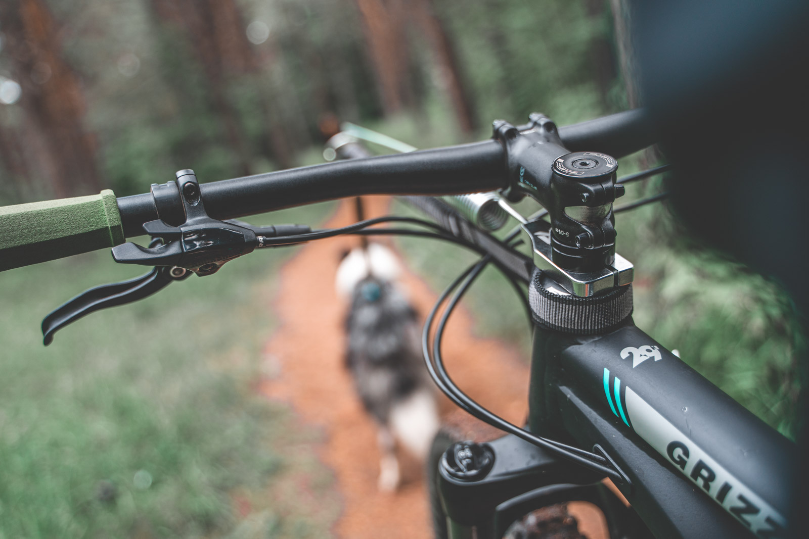 Non-stop Dogwear Cykelantenne - Image 8