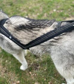 Zero DC FASTER - Image 6