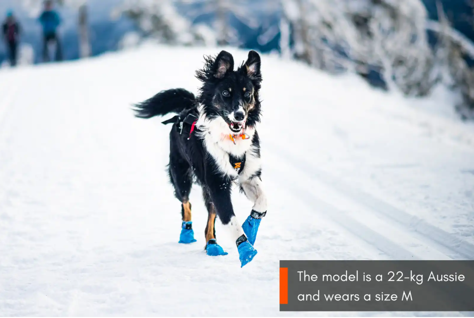 Non-stop Dogwear Langdistance Potesokker - Image 3