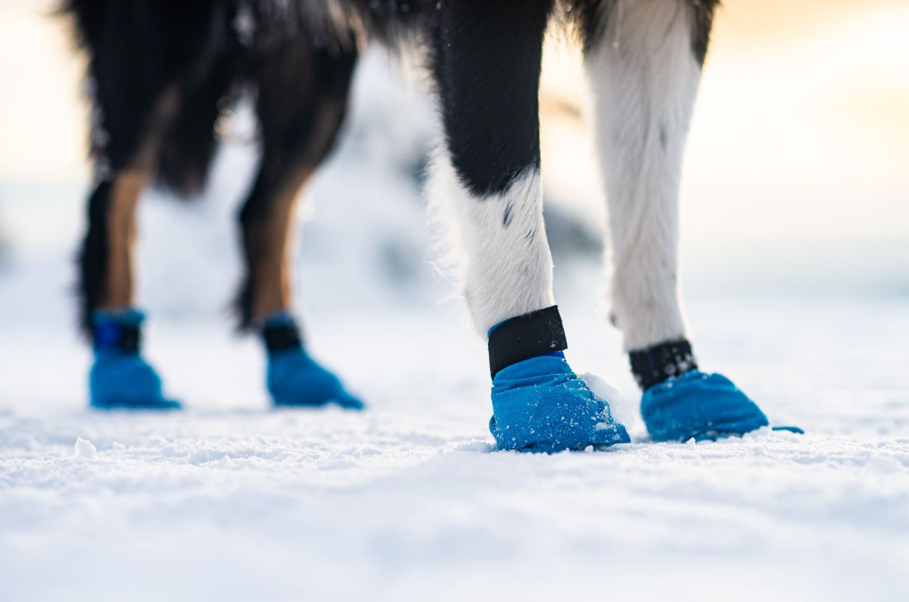 Non-stop Dogwear Langdistance Potesokker - Image 2