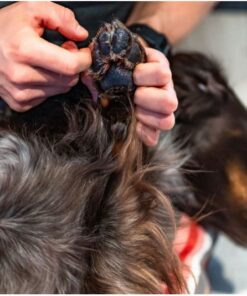 Non-stop Dogwear Potesalve - Image 3
