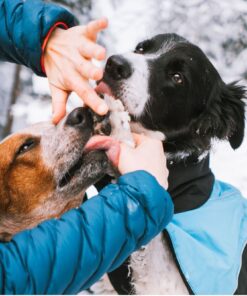 Non-stop Dogwear Potesalve - Image 4