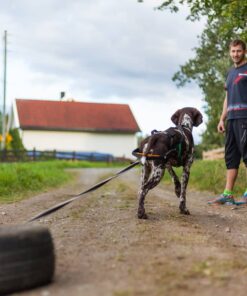 Non-stop Dogwear Nansen Stick Harness - Image 6