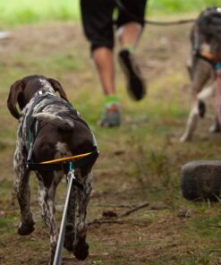 Non-stop Dogwear Nansen Stick Harness - Image 5