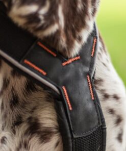 Non-stop Dogwear Nansen Stick Harness - Image 8