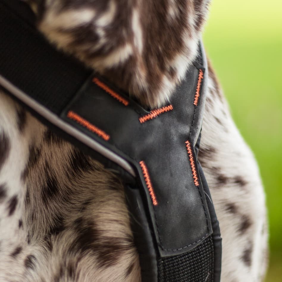Non-stop Dogwear Nansen Stick Harness - Image 8