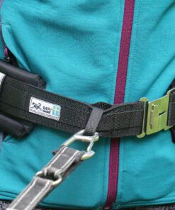 Alternative view of MR Koppel belt