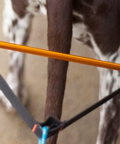 Non-stop Dogwear Nansen Stick Harness - Image 7