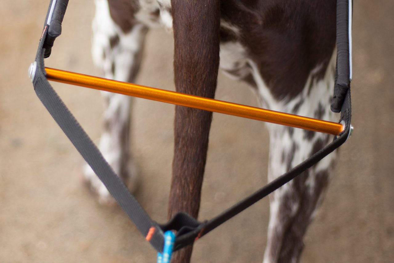 Non-stop Dogwear Nansen Stick Harness - Image 7