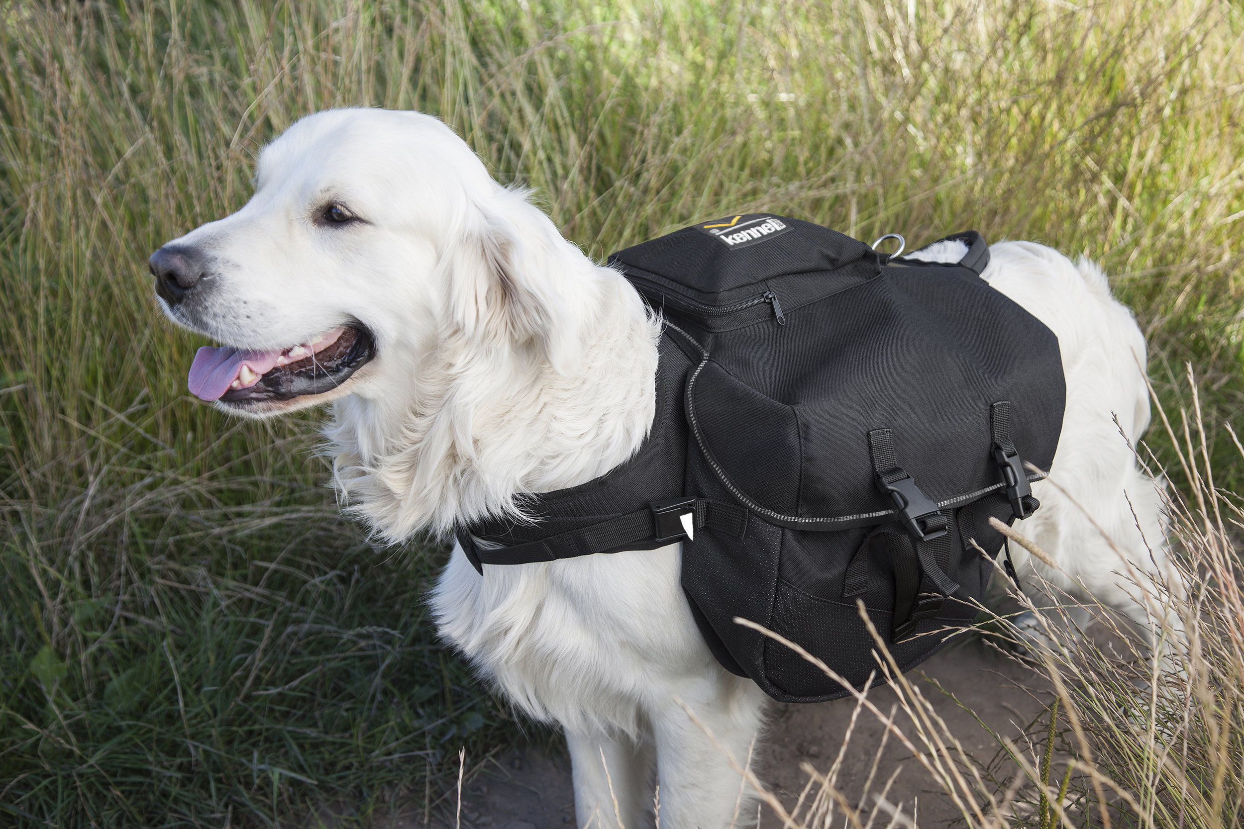 Kennel Equip Dog Pack - Image 3