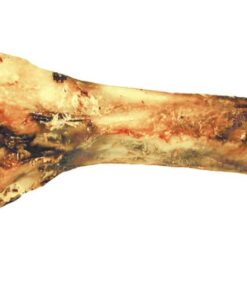 Dried moose bone - 100% natural