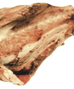 Dried shoulder blade - 100% natural