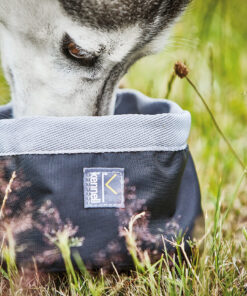Kennel foldable bowl - Image 3