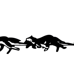 Musher sticker