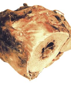 Dried bone - 100% natural
