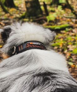 Non-stop Dogwear Rock Collar, halvkvæl - Image 3