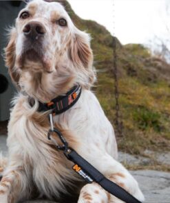 Non-stop Dogwear Rock Collar, halvkvæl - Image 7