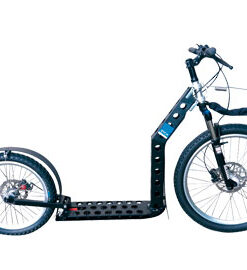 Dyck Dog Scooter