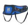 Non-stop Dogwear Ferd Belt