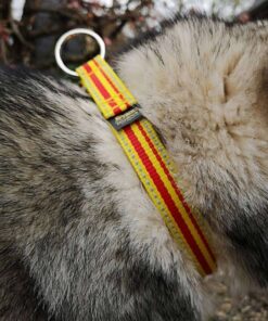 Troll Collar - Image 3