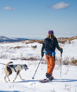 Non-stop Dogwear Ferd Belt - Image 8