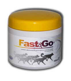 Fast & Go Gel