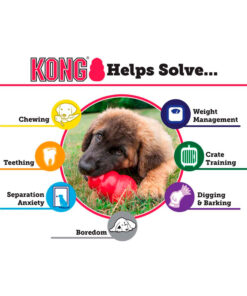 Kong Classic XXL - Image 4