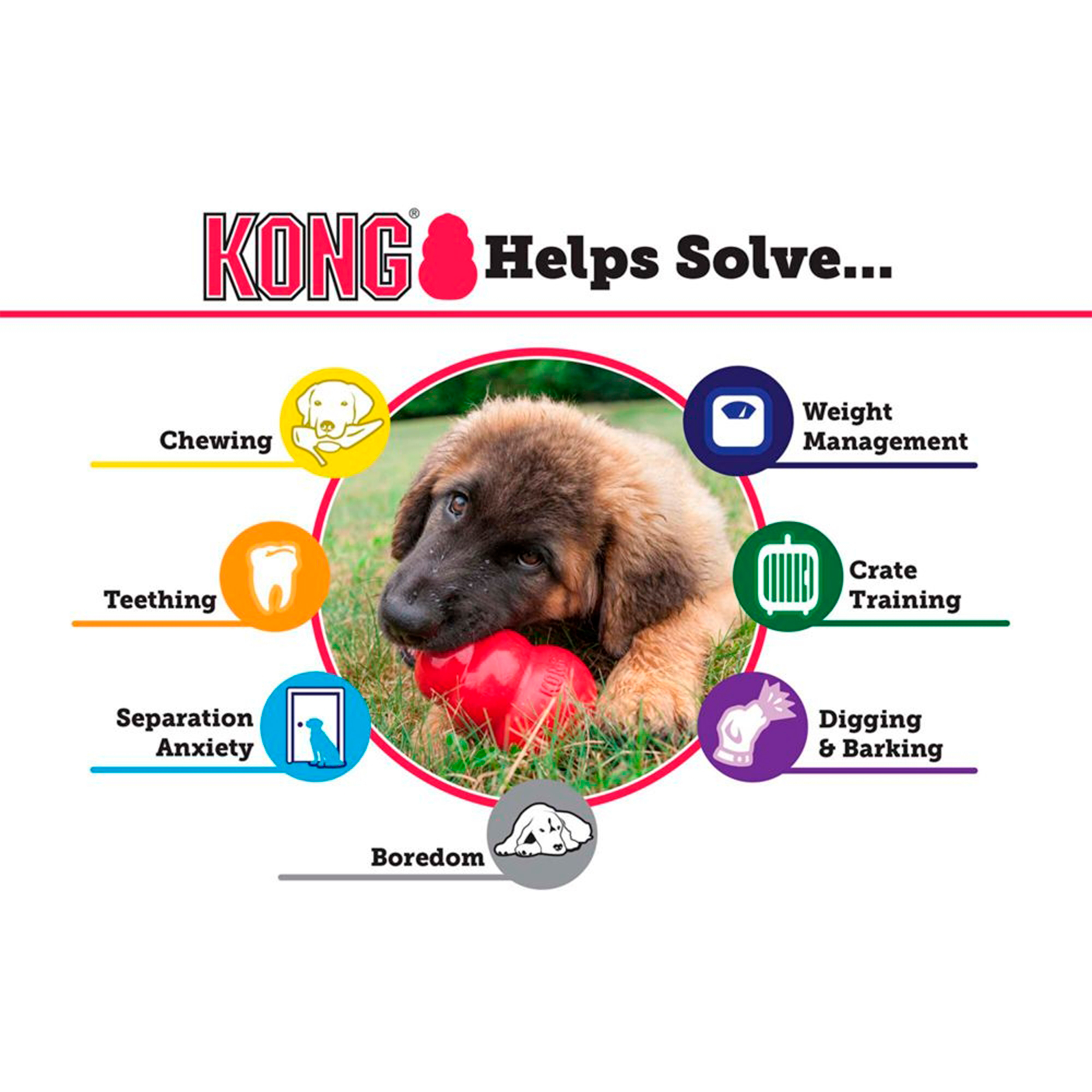 Kong Classic XXL - Image 4