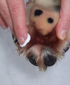 POMATA WINTERPAD Paw Cream - Image 4