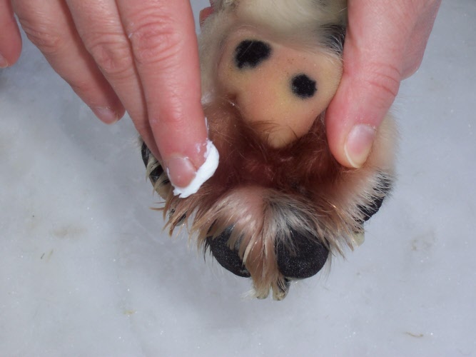 POMATA WINTERPAD Paw Cream - Image 4