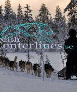 Swedish Centerlines Stake-out - Image 10