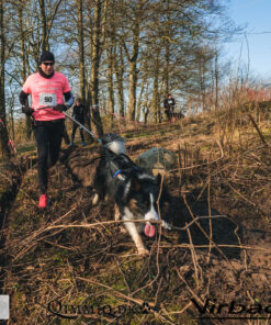 Non-stop Dogwear Touring Bungee - Image 5