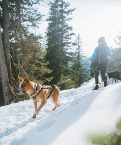 Non-stop Dogwear Canicross-sæt, M/L - Image 10