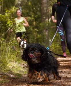 Non-stop Dogwear Canicross-sæt, Small - Image 8